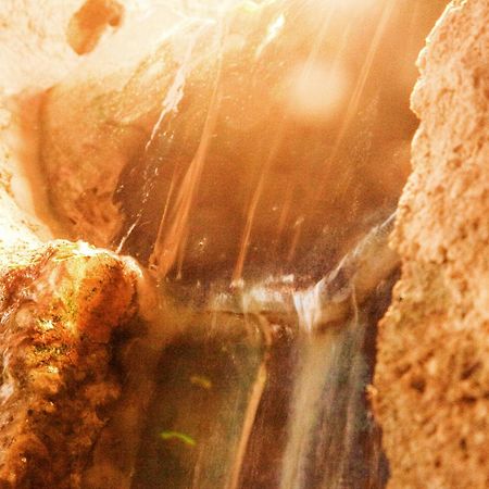 Hotel Bacchus بينسهايم المظهر الخارجي الصورة