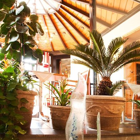 Hotel Bacchus بينسهايم المظهر الداخلي الصورة