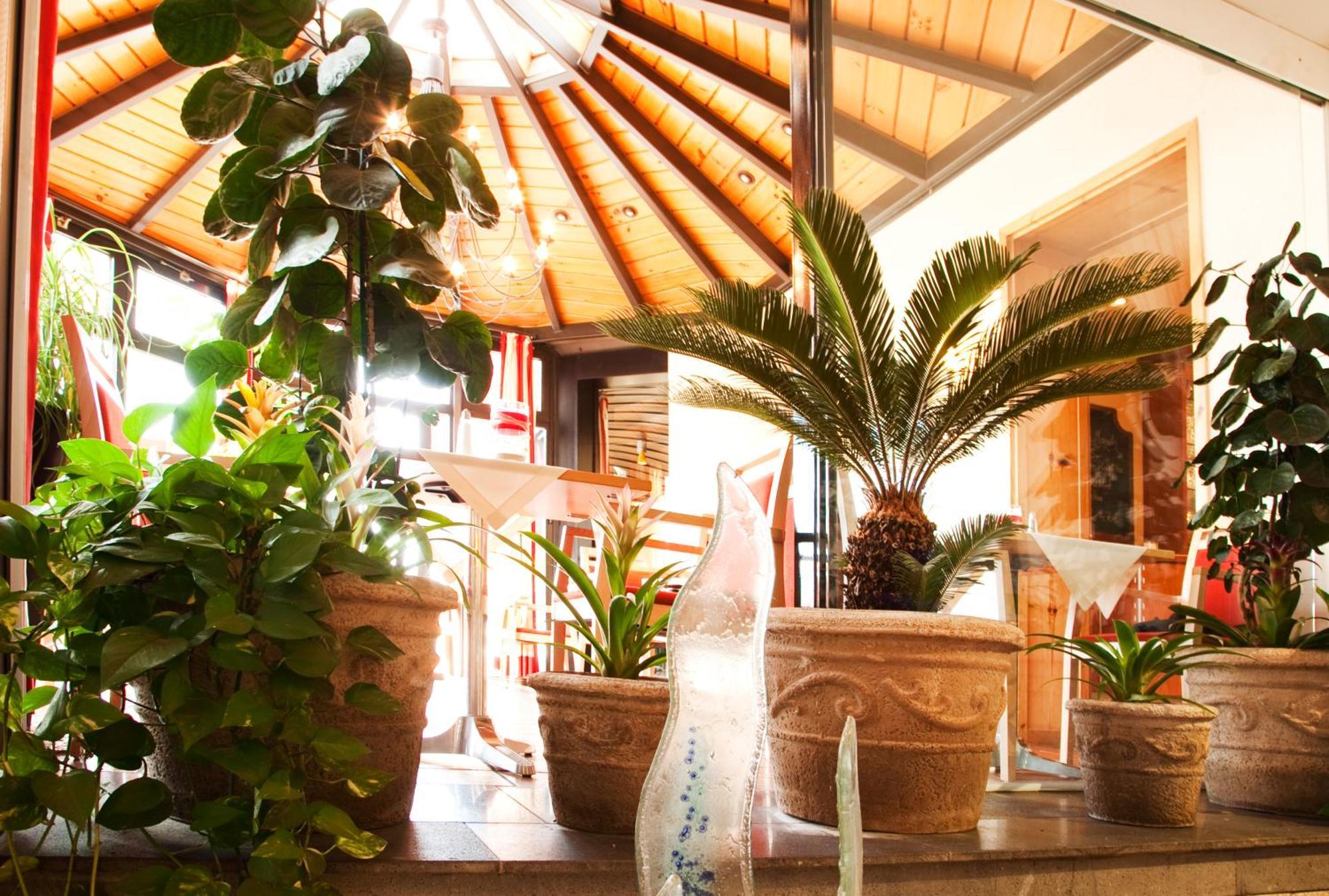 Hotel Bacchus بينسهايم المظهر الداخلي الصورة